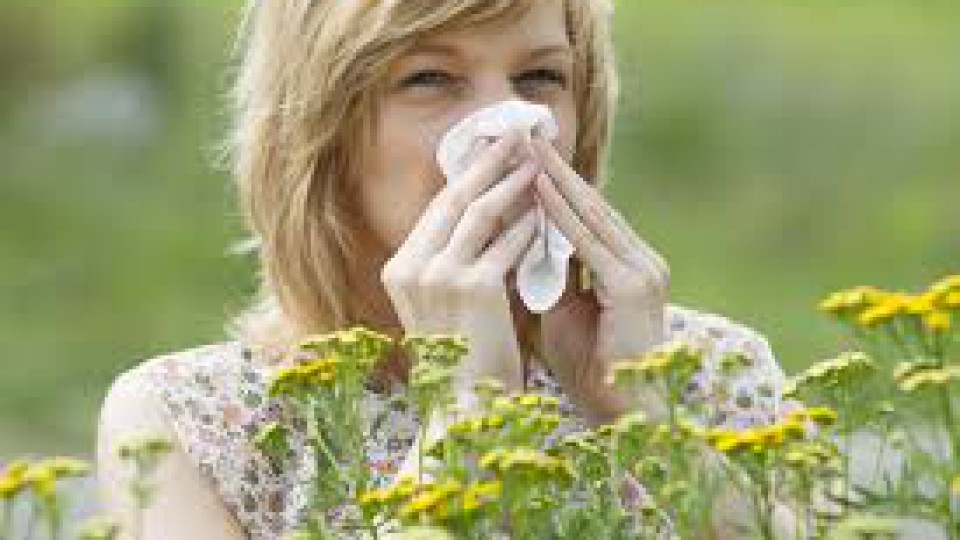 alergias primaverales